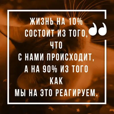 Красивые жизненные статусы со смыслом - 📝 Афоризмо.ru