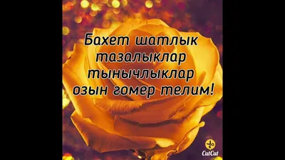 жомга #жомгаконемобэрэк #хэерлеиртэ #Хэерлекон | TikTok