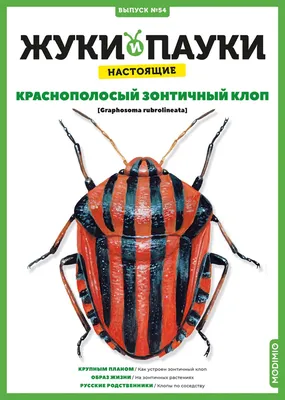 Картофельные жуки» и устойчивость к пестицидам: вместо быстрой эволюции –  генетическое разнообразие