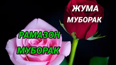 ассалому алейкум жума муборак булсин｜Búsqueda de TikTok