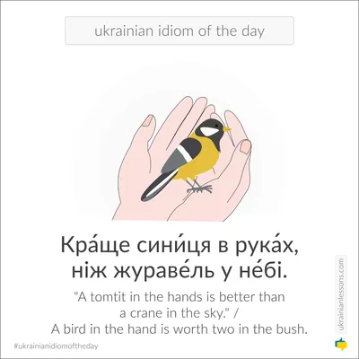 Дочь Ярослава Журавля хочет воевать за Украину - фото - 24 Канал