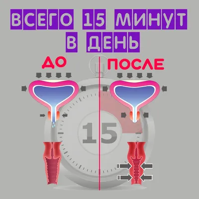 Восстановление после родов мышц тазового дна | КЕГЕЛЬ-ПФ.РУ | Блог  интернет-магазина | Дзен