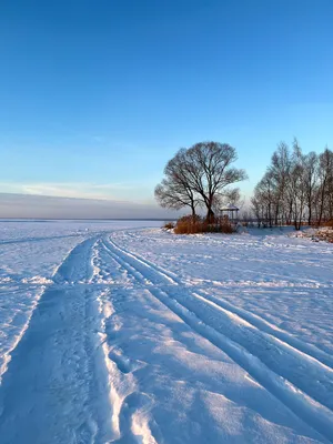 Потрясающие фотографии зимней природы