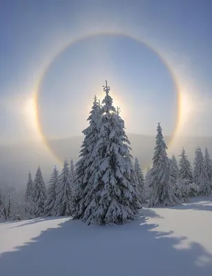 Зимнее солнцестояние картинки