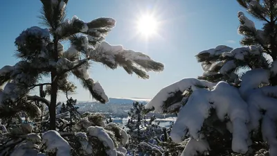 21 декабря – день зимнего солнцестояния | ВКонтакте