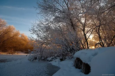 Зимняя природа зимнего леса в солнечное утро Морозная и снежная ёлка в  горах Яркий день в горной местности Стоковое Фото - изображение  насчитывающей зима, сезон: 162729452