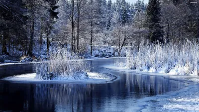 Зимняя Природа — стоковые фотографии и другие картинки Без людей - Без  людей, Белый, Весна - iStock