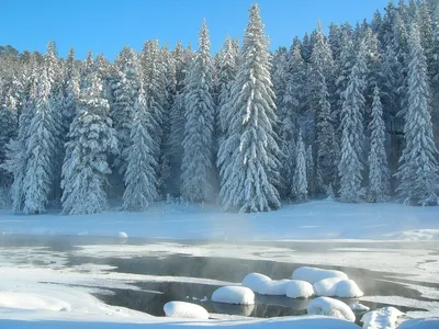 Зимняя природа, снег и солнце | Outdoor, Snow