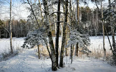 Зимняя природа Зимние горы Красивые морозы и снежные лихорадки в  высокогорье Стоковое Фото - изображение насчитывающей свет, вал: 161690456