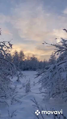 Необычная зимняя природа - 61 фото