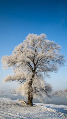 Новогодние заставки на телефон андроид - 70 фото