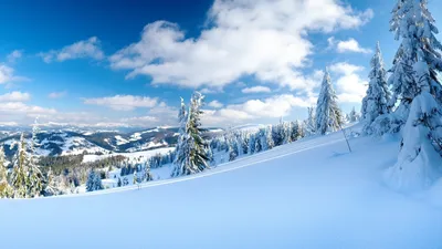 Картинки Пейзажи, деревья, зимние обои, зима, облака, природа, снег,  склоны, фото - обои 2560x1440, картинка №9885