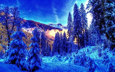 Прекрасные зимние обои снегопада Стоковое Изображение - изображение  насчитывающей естественно, заморозок: 160766981