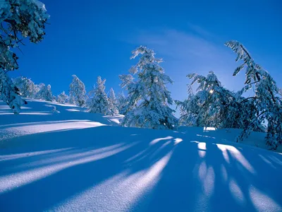 Очень красивые зимние обои - 57 фото