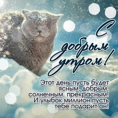 Открытки \"Доброе утро. Зимние\" (1219 шт.)