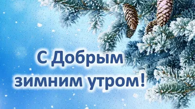 С добрым зимним утром!Красивое пожелание доброго утра! #открытка  #доброеутро - YouTube