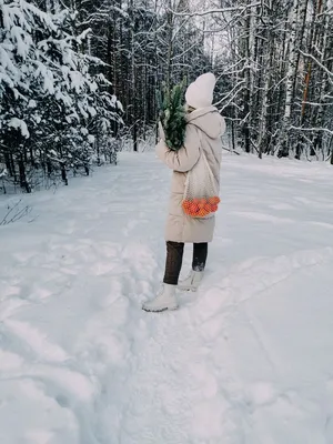 Зимние куропатки. | Пикабу