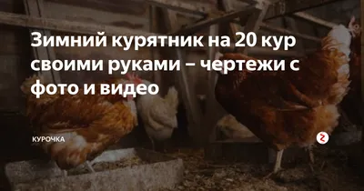 Курятник на 10 кур зимний чертежи