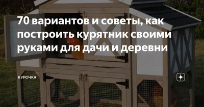 70 вариантов и советы, как построить курятник своими руками для дачи и  деревни | Курочка | Дзен