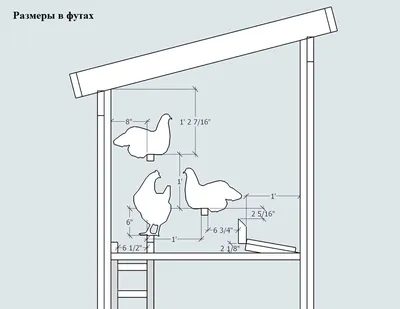 Курятник на 30 кур своими руками на даче. Расчет площади, создание чертежа  и проекта: схема зимнего жилья (фото) | Курятник, Планы курятника, Курятники
