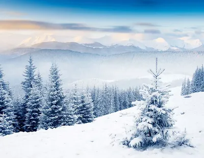 Зимний пейзаж\" Фотообои на стену. Фотопечать для шкафа купе. Картина.  Заказать.