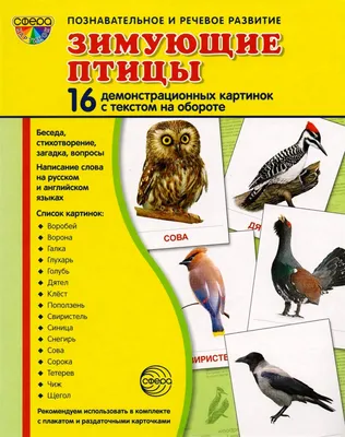 Выставка детских творческих работ «Зимующие птицы нашего края» - Сайт  национального парка \"Смоленское поозерье\"