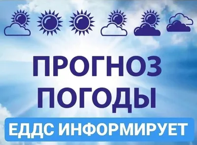 Универсальные Знаки Погоды Кактуса Культуры Лотоса Ягненка Стола Векторное  изображение ©Flatart 373204708