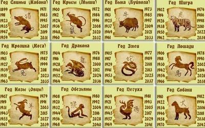 Знаки восточного гороскопа картинки
