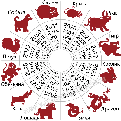 Крыса: Китайский (Восточный) гороскоп, характеристика знака, совместимость