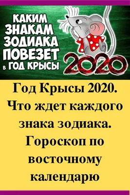 Змея: Китайский (Восточный) гороскоп, характеристика знака, совместимость