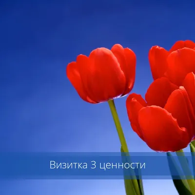 Знакомство родителей»: всероссийская премьера романтической комедии в ТРЦ  «Седьмое Небо»