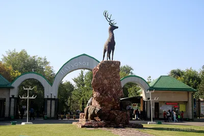 В Москву всей семьей: Московский зоопарк + ВДНХ (из г. Тверь) - НТК Глобус