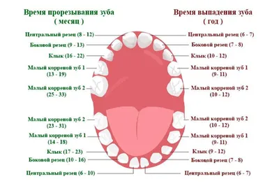 Детские элайнеры - Cтоматология Май