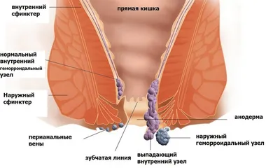 Отделение колопроктологии - Медицинский центр (проктолог)