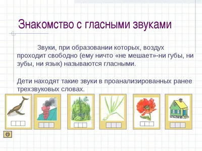 Схемы для фонетического разбора (1 класс, обучение грамоте)