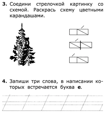 Помогите составить схему слов : осёл, свинья. - Школьные Знания.com