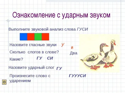 ГДЗ номер 2 /2 с.23 по русскому языку 1 класса Канакина Рабочая тетрадь —  Skysmart Решения